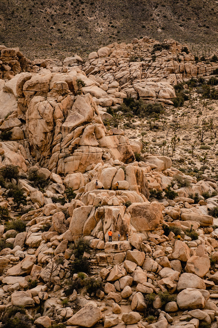 People climbing on a cliffside in Joshua Tree National Park